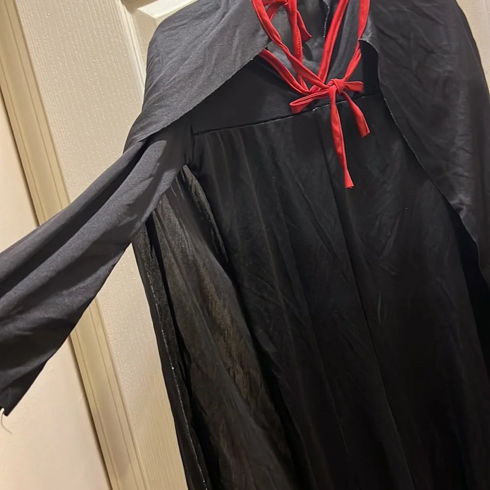 Zorro Halloween costume. - Picture 4 of 6